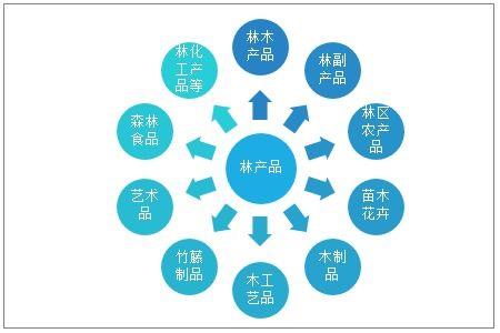 2021-2027年中國林產(chǎn)品行業(yè)市場研究分析及投資戰(zhàn)略規(guī)劃報告